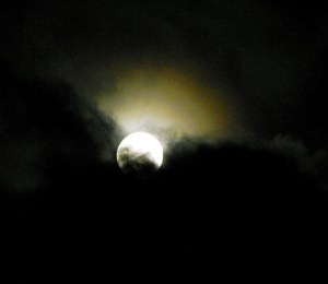 Mondschein | Foto: Martin Krauß