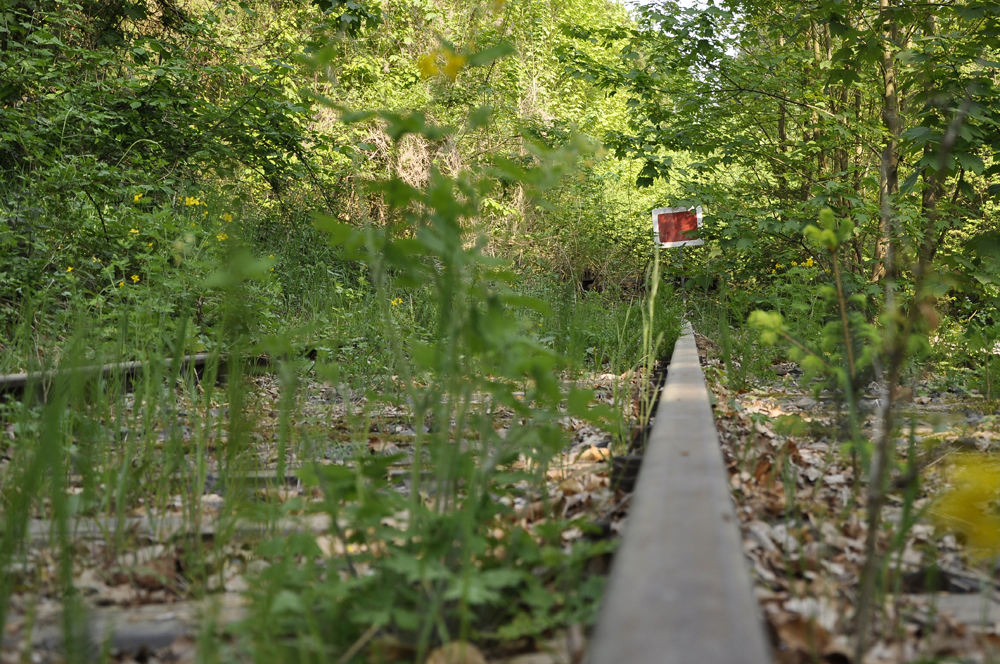 Im Wald am Bessungerforsthaus steht nur noch ein "Gleis Ende"-Schild. Die Gleise sind verwildert. Das Schild ist in der rechten Bildseite.