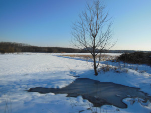 Einsamkeit in weiter Winteridylle